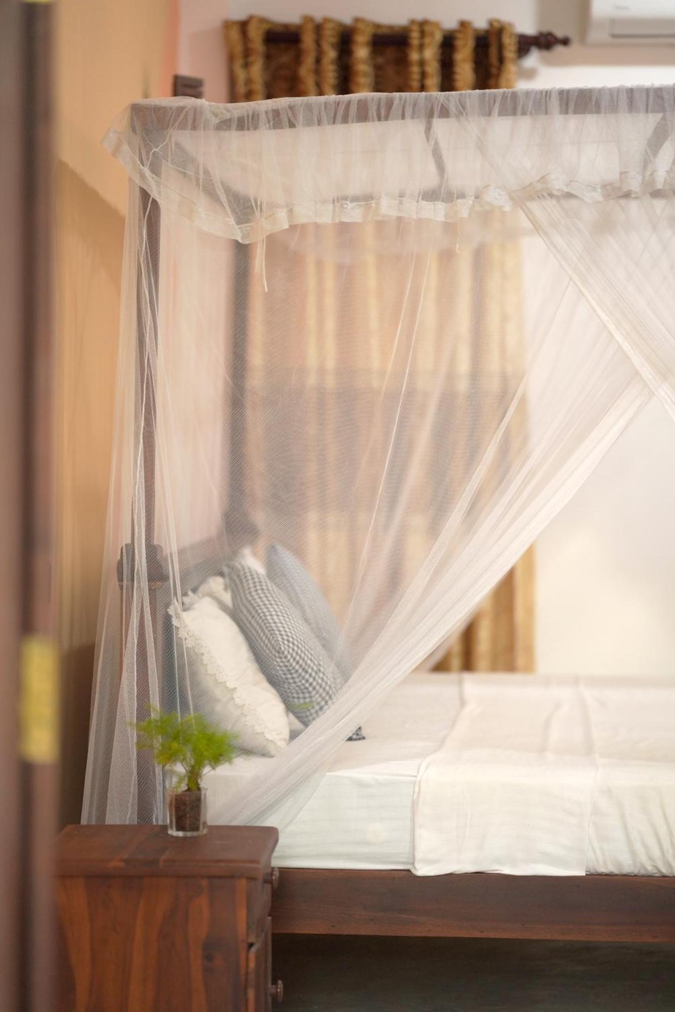 Surf Orchid Villa Weligama Eksteriør bilde